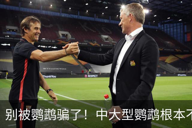 别被鹦鹉骗了！中大型鹦鹉根本不是宠物，是会飞的野生猛禽！
